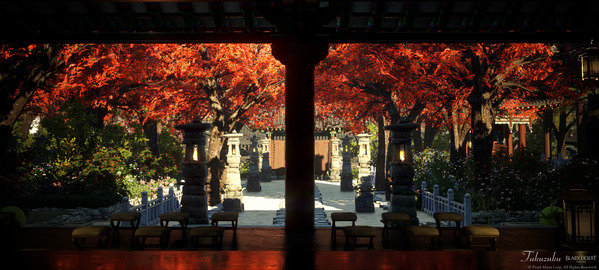 黒い砂漠 オアシスBDO紅葉撮影会047