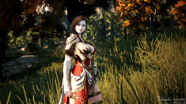 Black Desert Online Nova