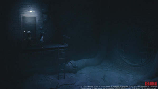 REANIMAL 004