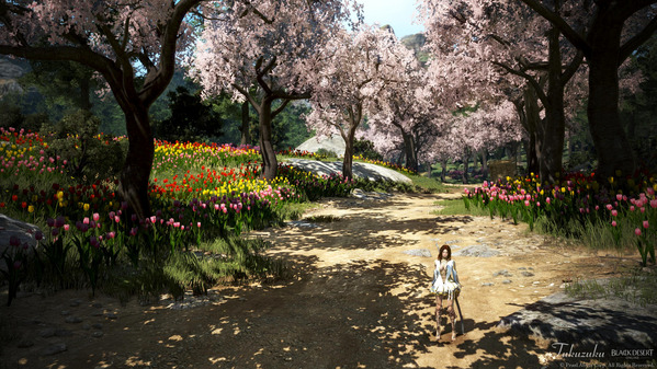 黒い砂漠 桜とチューリップ28 ハイデルの街道