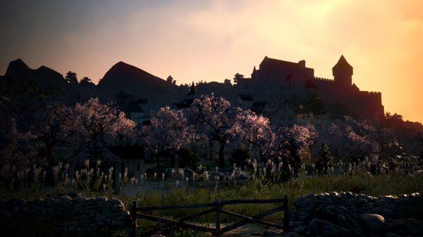 黒い砂漠 桜並木