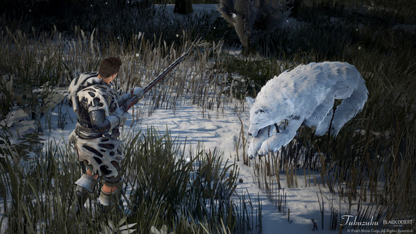 黒い砂漠 狩猟 野生の氷結オオカミ