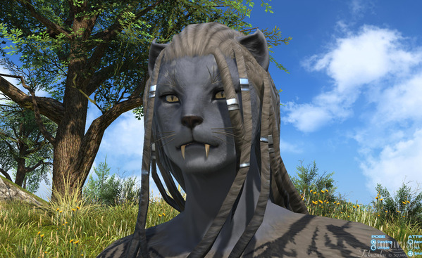 FF14 ロスガル女性 キャラクタークリエイション