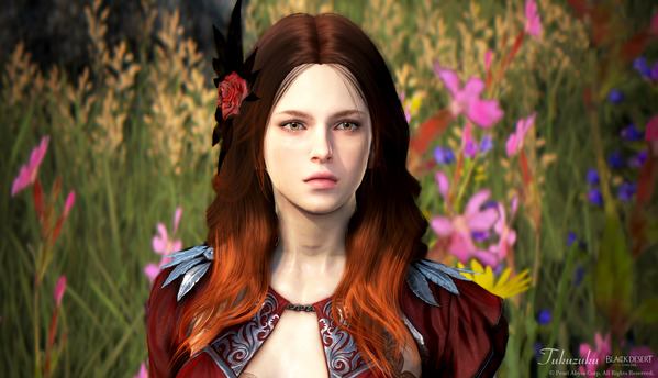 Black Desert Online Dark knghit