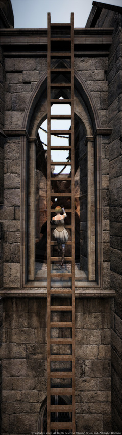 黒い砂漠 Eyefinity