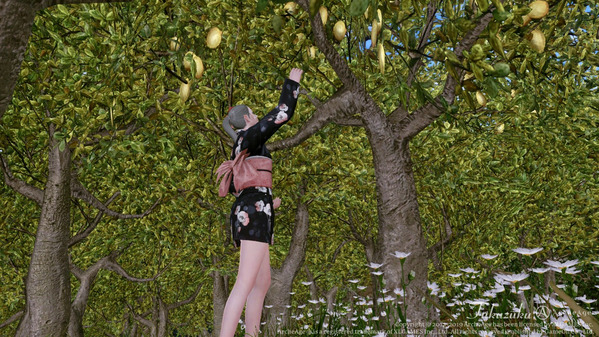 ArcheAge レモン 採集