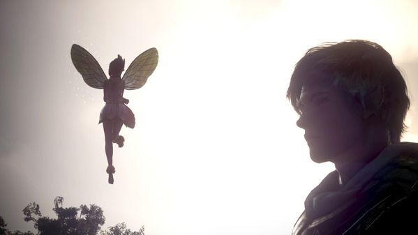 黒い砂漠 アーチャー 妖精