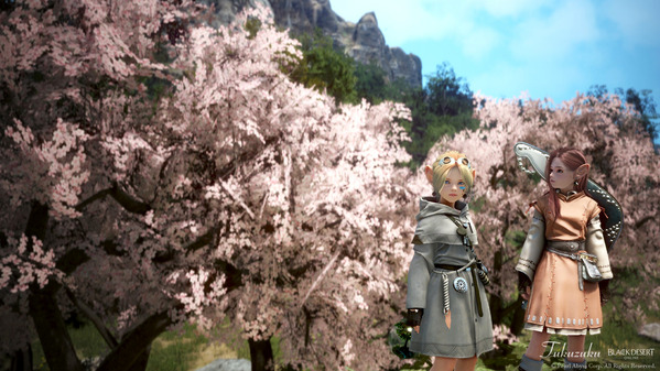 黒い砂漠 シャイ 桜