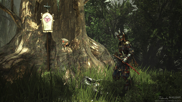 黒い砂漠 忍者 エルビアの領域 湿原ナーガ