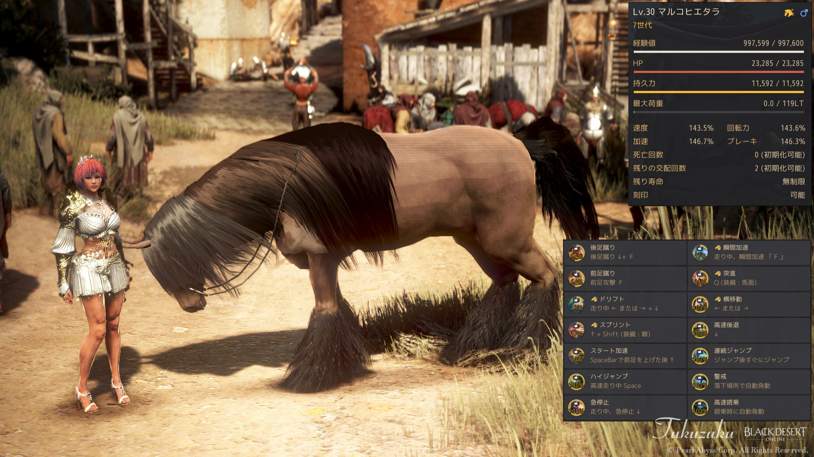 黒い砂漠 7世代馬 Valkyrie