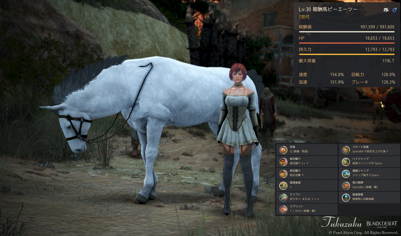 黒い砂漠 馬放置と Archeage ブロマン探索 Valkyrie 黒い砂漠 馬放置と Archeage ブロマン探索 Valkyrie