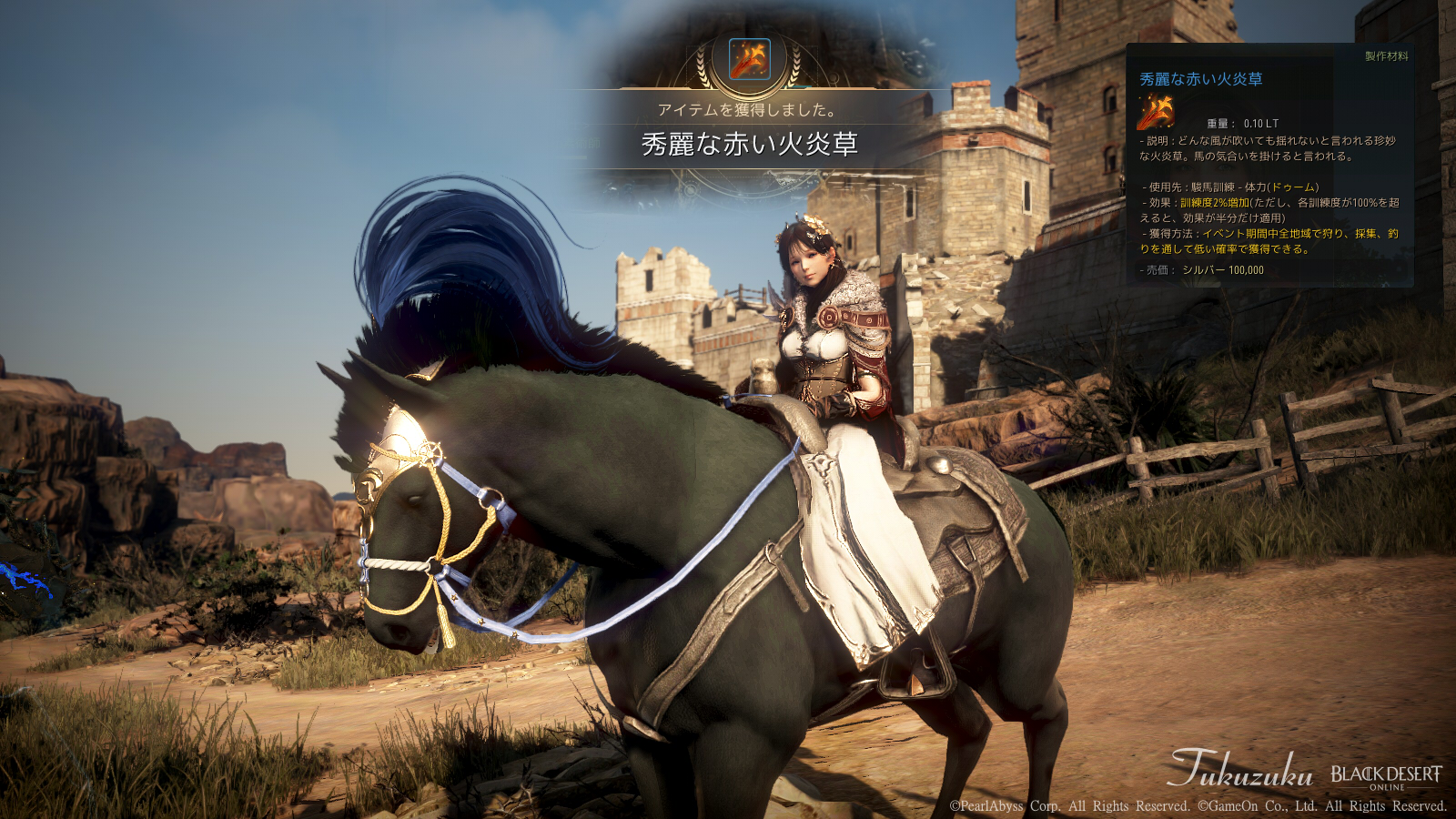 ウィッチと 馬の交配 Valkyrie