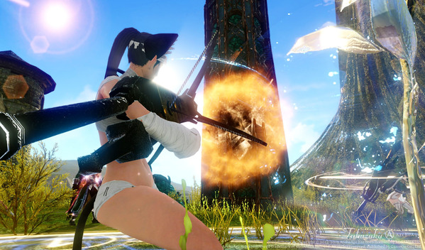 ArcheAge 防衛戦