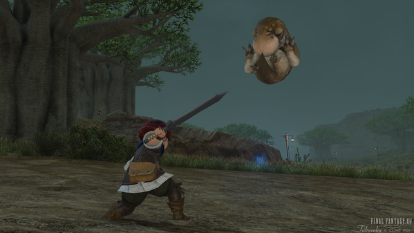 FF14 ララフェル FF14 ララフェル 剣術士育成