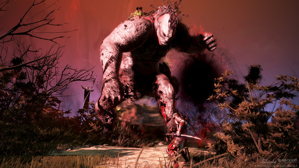 黒い砂漠 オーガ サウニールキャンプ[エルビア] 忍者