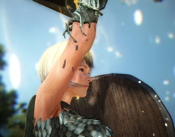 BlackDesert 覚醒 黒い砂漠 サンシュヴァリエ