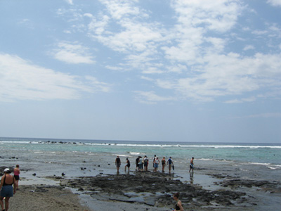 ハワイ島 ３日目 カハルウビーチ Bon Voyage ボン ボヤージュ