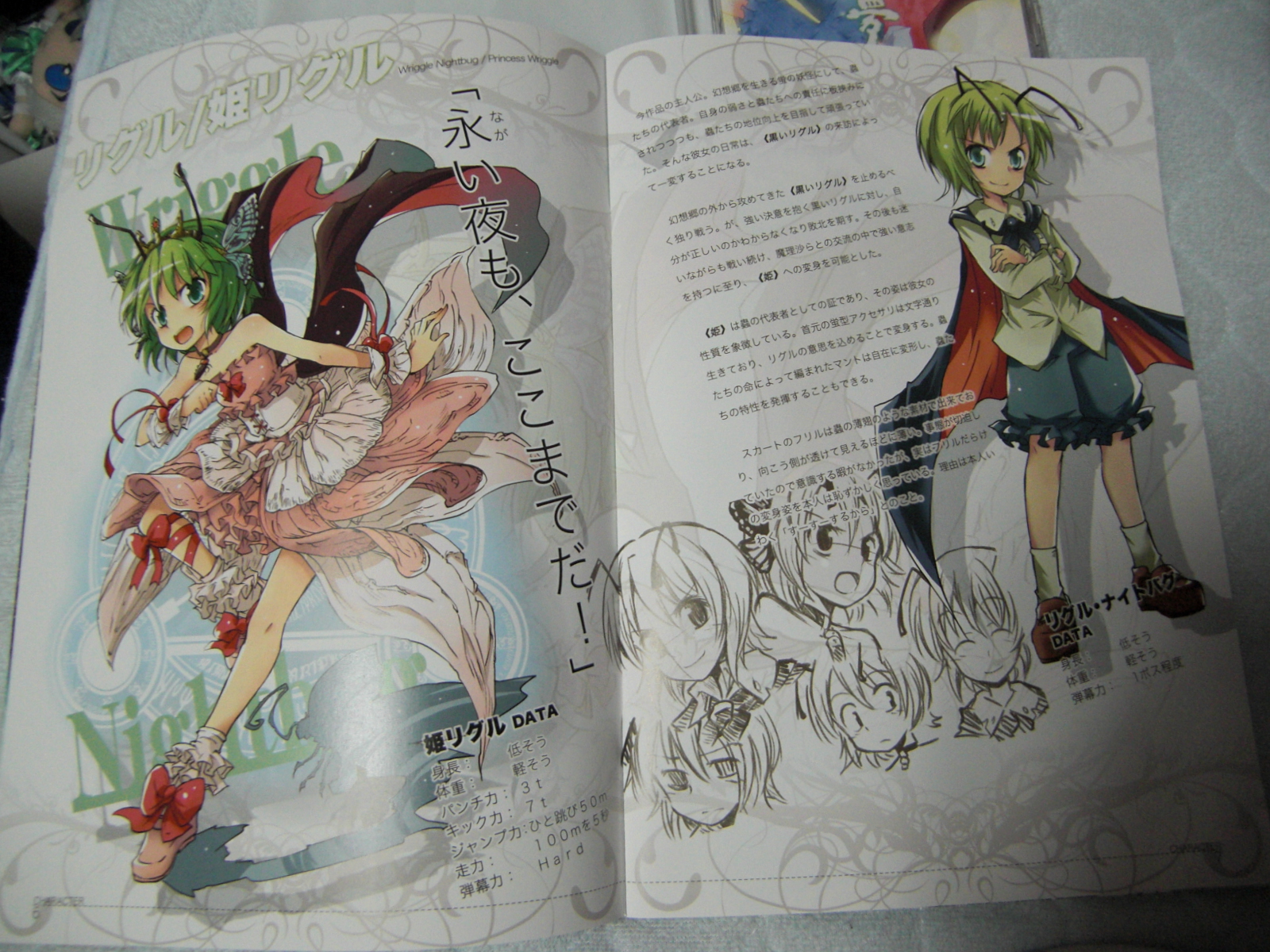 小説 音楽雑記 劇場版姫リグル 永夜の燐光 東方二次創作 マターリ貴族 小説 音楽雑記 劇場版姫リグル 永夜の燐光 東方二次創作 マターリ貴族
