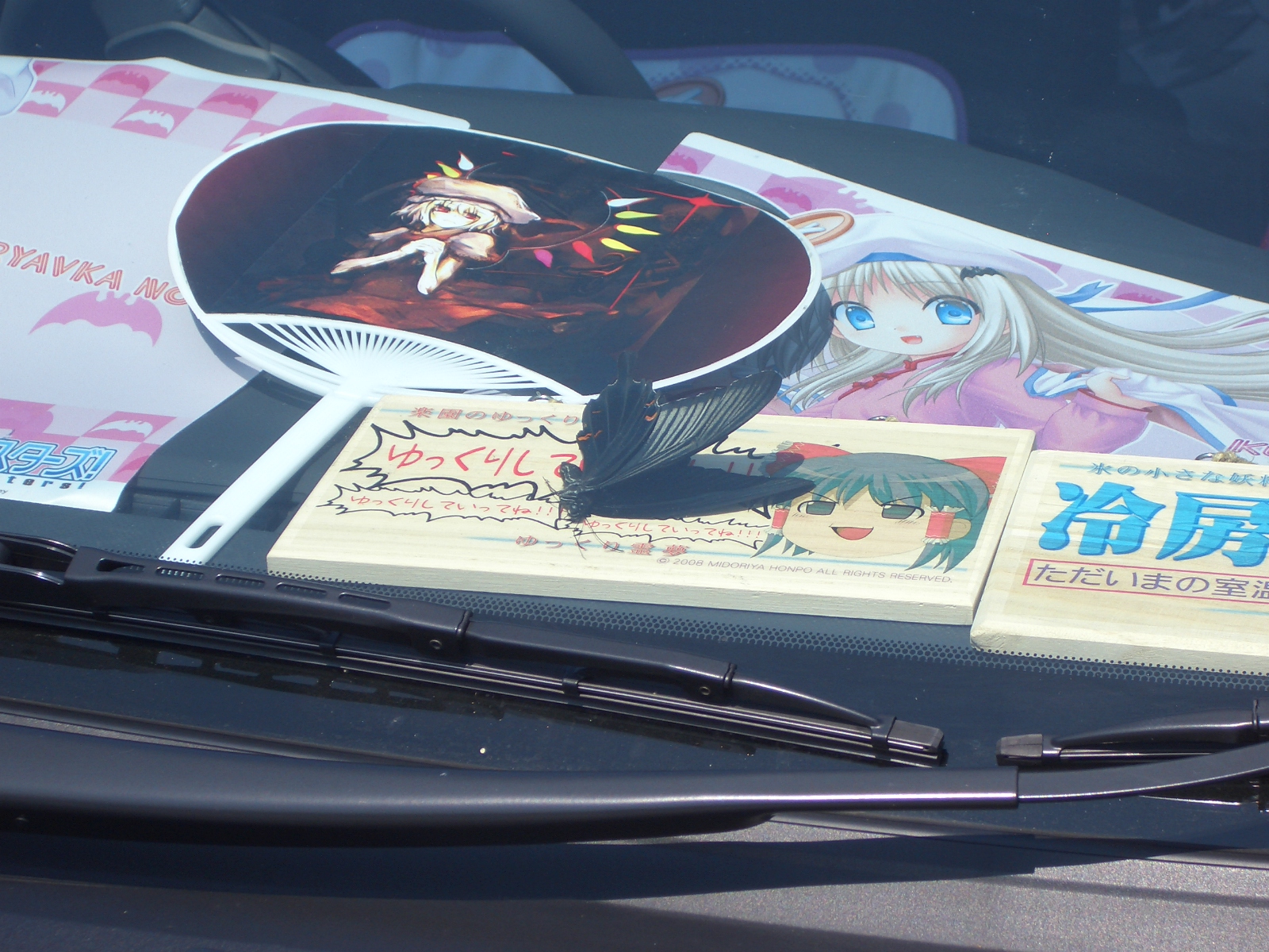 ȿ��ĳ������������������