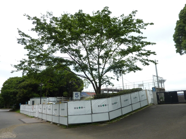 プレナスなでしこリーグカップ予選リーグ 第5節 日テレベレーザvsinac神戸レオネッサ 平塚 しし丸blog写真館