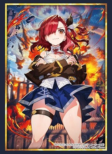 Amazon.co.jp: ヴァイスシュヴァルツ 角川スニーカー文庫 Vol.2