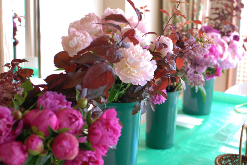 芍薬 バニまま ｈｏｌｏｈｏｌｏ日誌