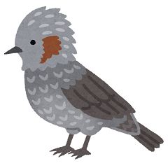 小鳥とエプロン トリと暮らす幸せ