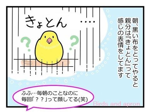 小鳥とエプロン トリと暮らす幸せ