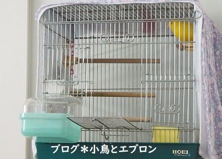 小鳥とエプロン トリと暮らす幸せ