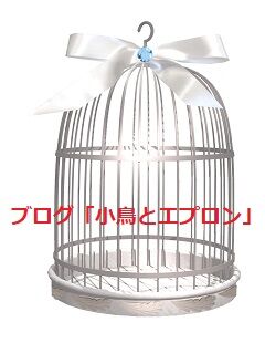 小鳥を家族に迎える準備 小鳥とエプロン トリと暮らす幸せ