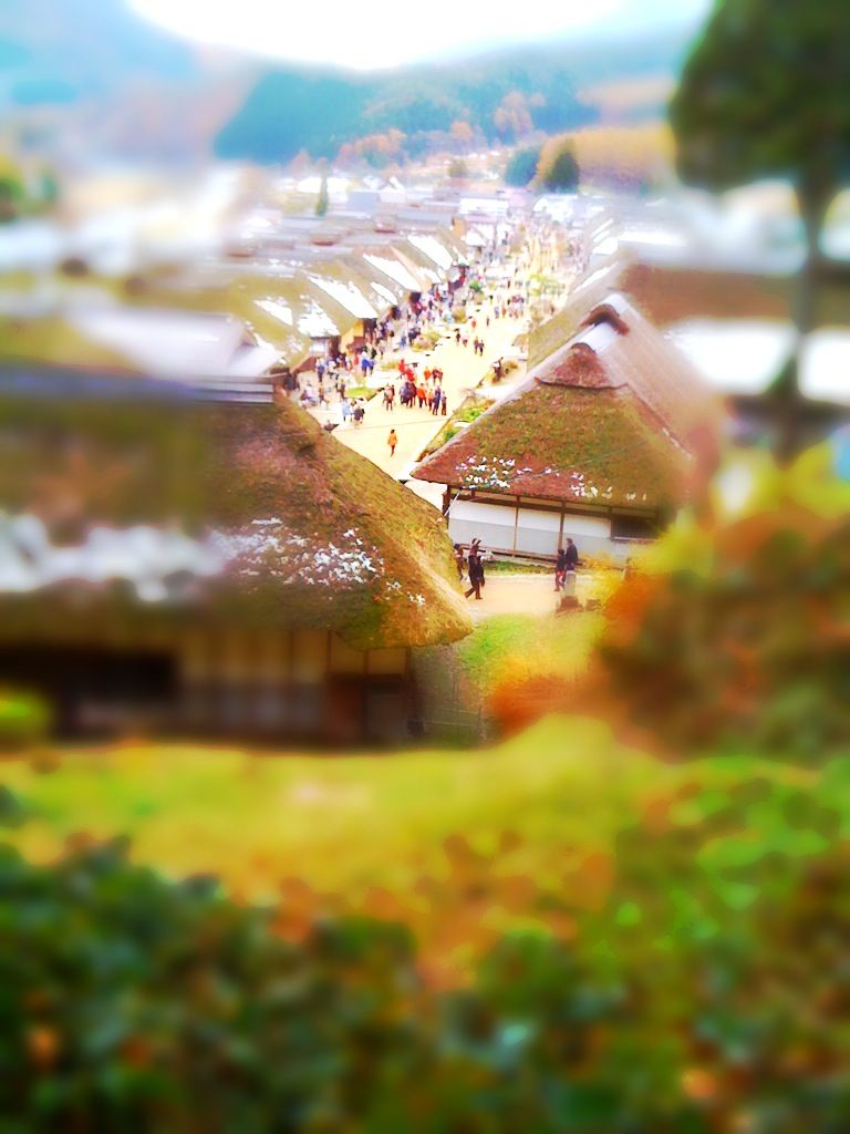 Iphoneアプリ 一眼トイカメラ 若オヤジ日記 Iphoneアプリ 一眼トイカメラ 若オヤジ日記