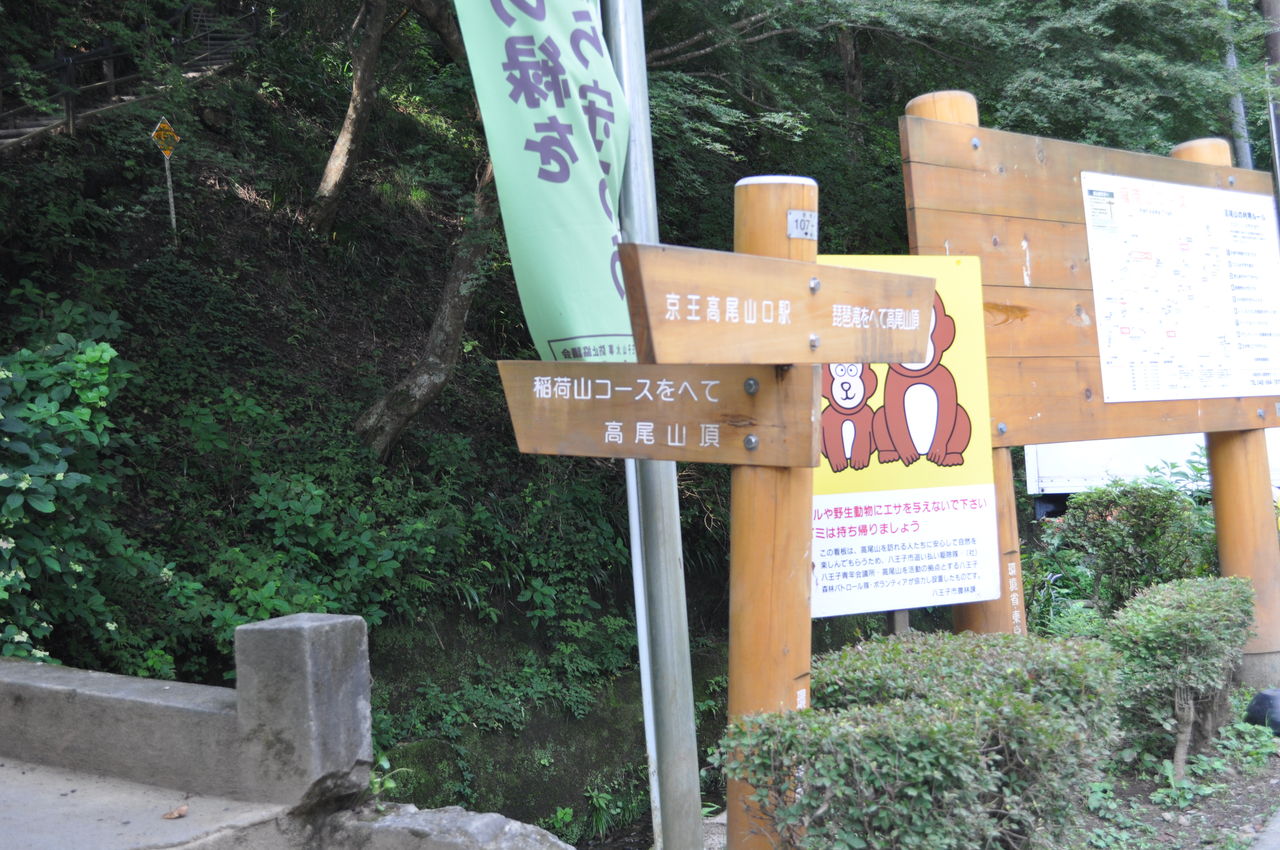 登山 東京 神奈川 高尾山 陣馬山 裏高尾 若オヤジ日記 登山 東京 神奈川 高尾山 陣馬山 裏高尾 若オヤジ日記