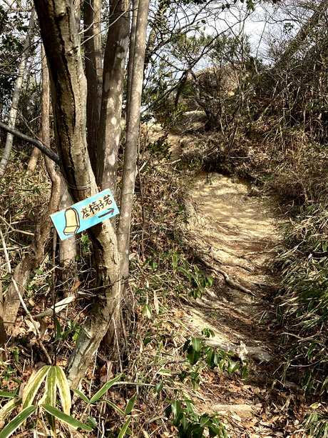 fc4a881a-ea04-48df-8253-2b0