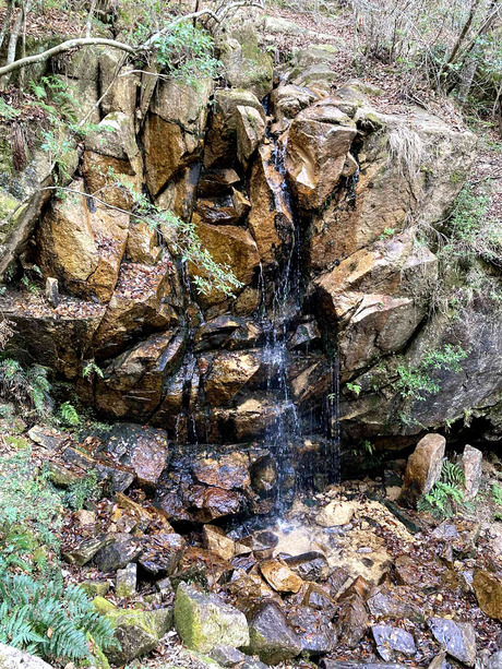 fc51d5d9-ef7c-4890-a3f8-c8d