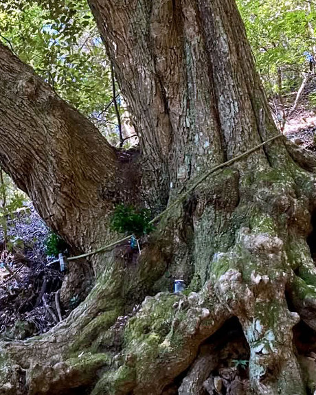 8ca6d5f4-dda6-4442-9396-89c