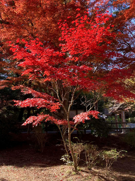 cfe9404b-478d-4d9e-be3a-416