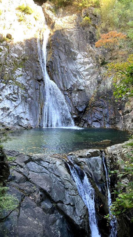 a10d34fd-4eba-48bd-9ebf-abe