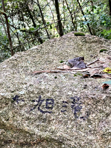 ef173a75-429c-41d3-bf41-cd6