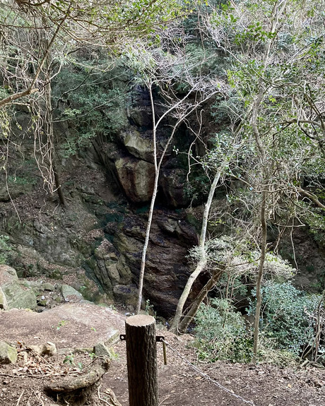 4980576b-9acd-4335-9afe-1a2