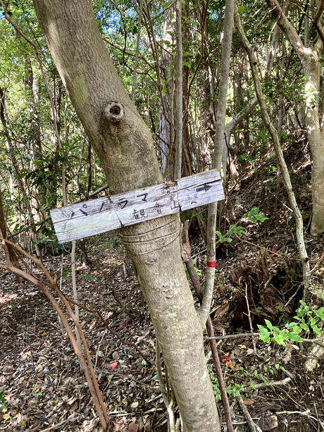 fb1f5aad-b184-490a-8c79-8e4