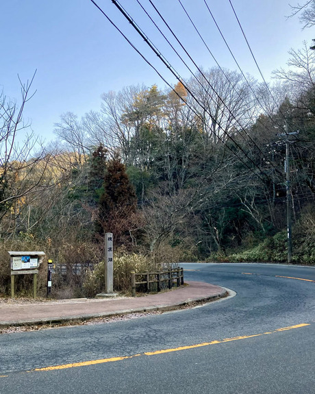 82721acf-9204-4091-b860-875