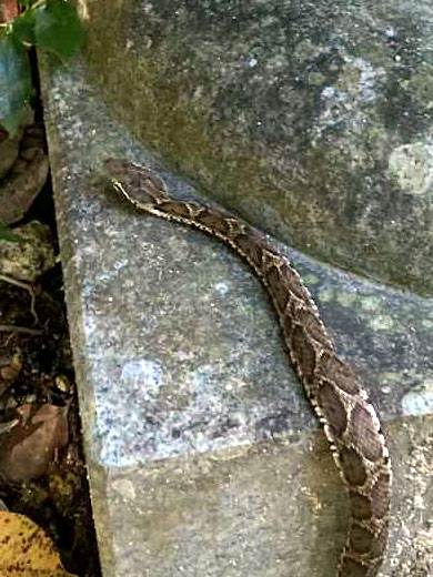 87b261ee-7739-49de-8068-76a