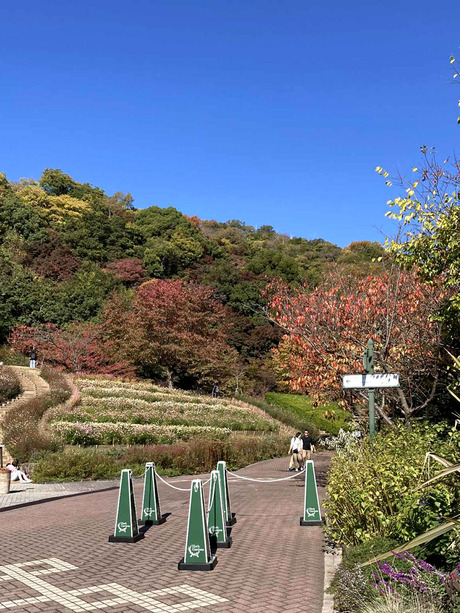 4d467d5d-6e55-46d4-bead-037