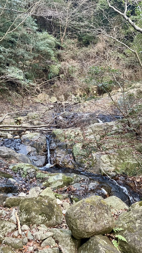 9c811983-5c84-42ff-bdaa-05c