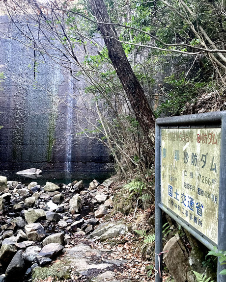 21552106-6973-4f82-9cb1-19c