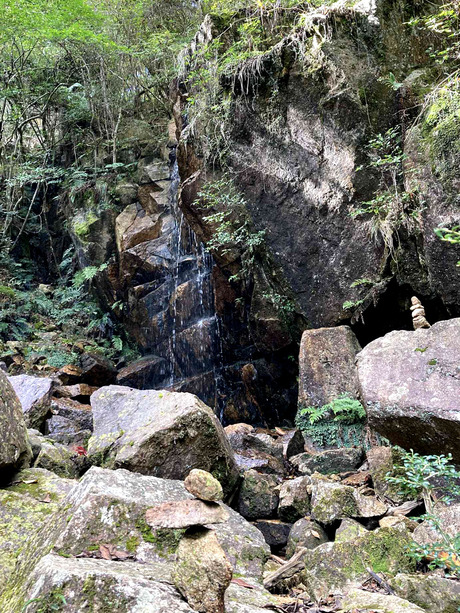 8419fa10-1401-4663-8309-33f