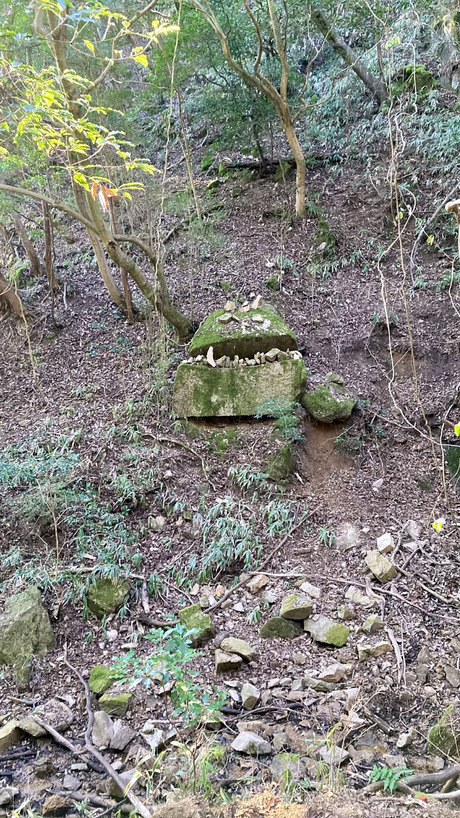 c660677a-d9ea-4704-ae30-777