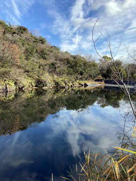 ad5cc10b-76e1-4a1b-8b45-2bb