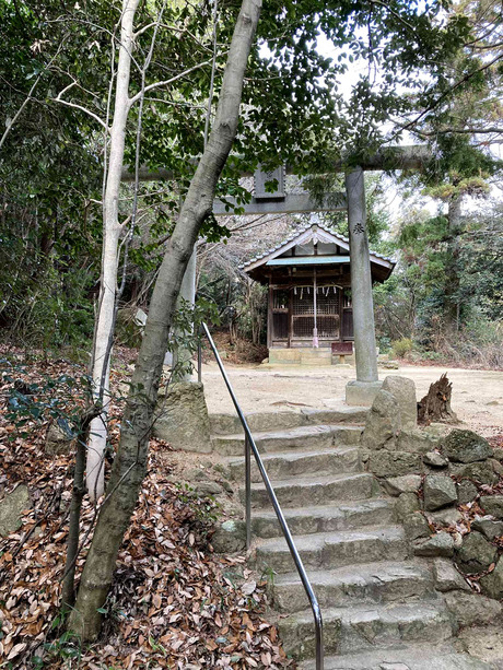 31352280-5e5f-4266-ab7b-cc0