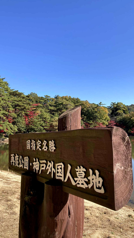 89d62243-68e9-42c2-8395-77d